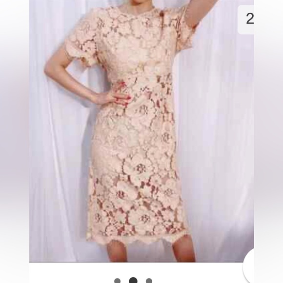 NSR Dresses & Skirts - NSR Lace Short Sleeves MIDI Sheath women’s Dress